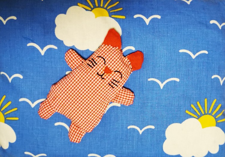 Šildyklė su grikių ar kavos pupelių užpildu