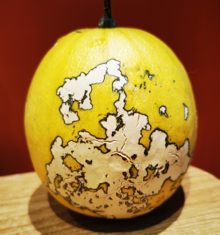 Dukrelės daržo "perliukai"