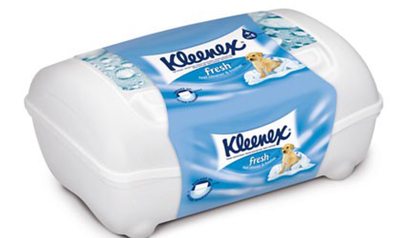 Projektas "Kleenex® Mama": antrojo etapo įvertinimai
