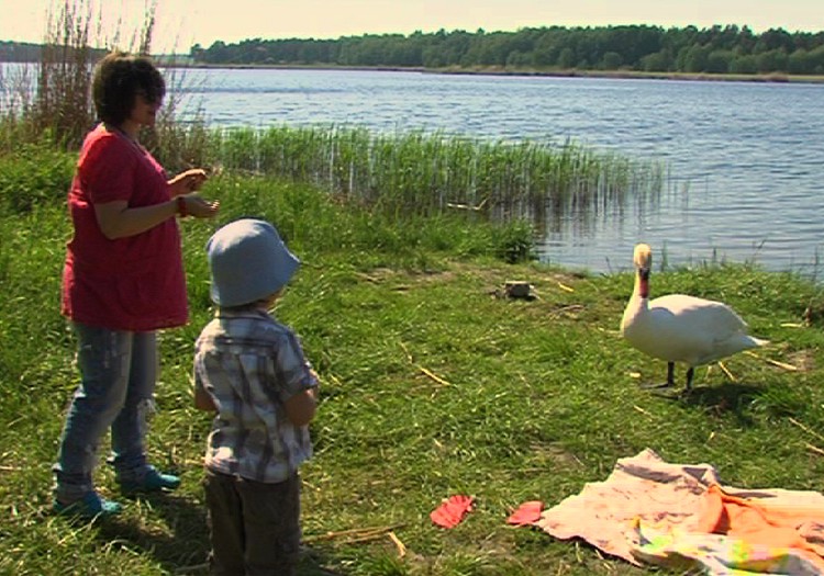 VIDEO Ruošiamės su mažyliu iškylai