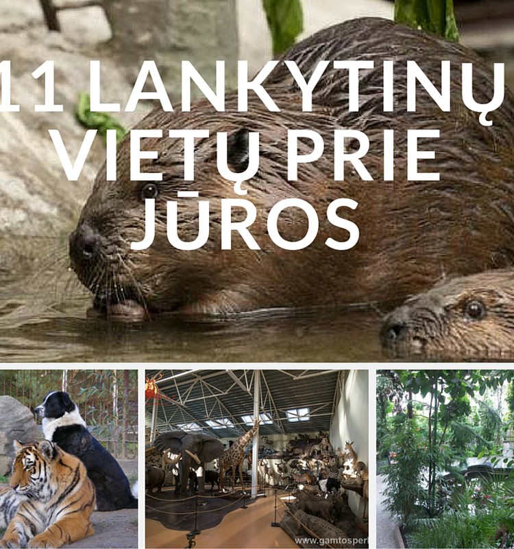 11 lankytinų vietų pajūryje