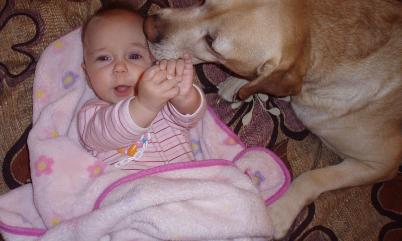  Mažylės ir šuniuko draugystė