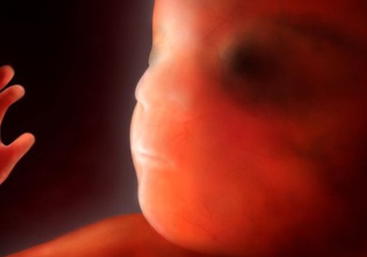 VIDEO Nėštumo kalendorius. 8 savaitė: kaip kovoti su toksikoze