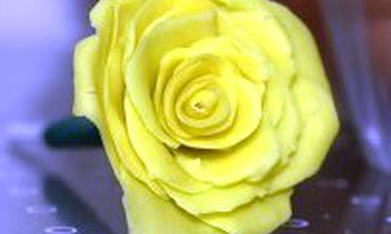 Plastilino rožė