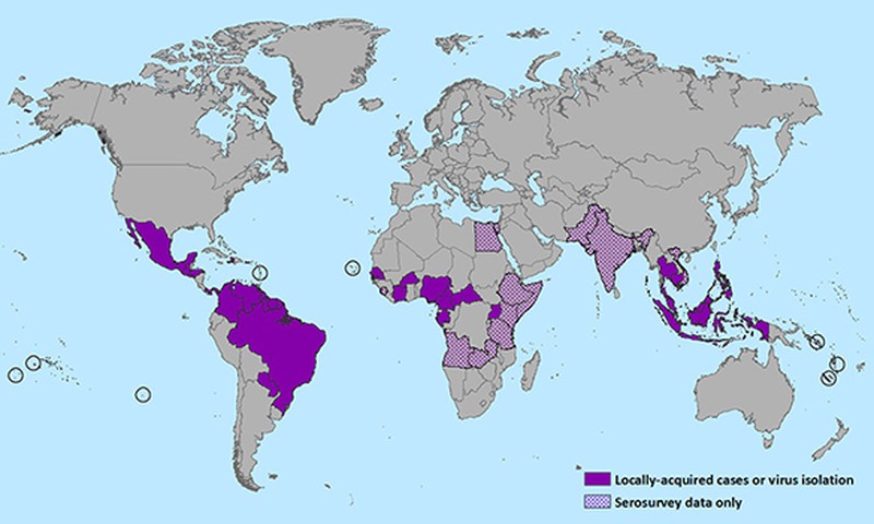Medikai įspėja nėščiąsias nevykti į šalis, kuriose plinta Zika virusas