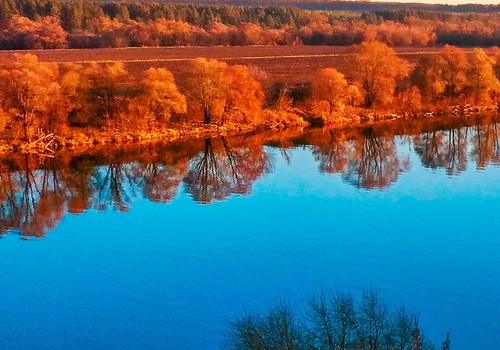 Su Rugsėjo 1-ąja! Su Nauja pradžia