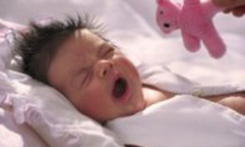 Kas geriausiai žino apie mažylių miegą: viktorinos rezultatai