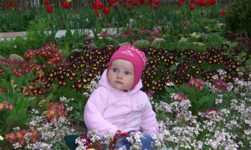 Mažosios "damos" valgymo ypatumai