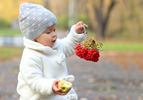 Mitai apie imunitetą arba kodėl serga ikimokyklinukai?