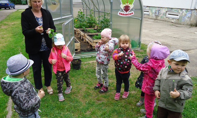 Mokys vaikus auginti daržoves: dvidešimčiai šalies darželių – po šiltnamį