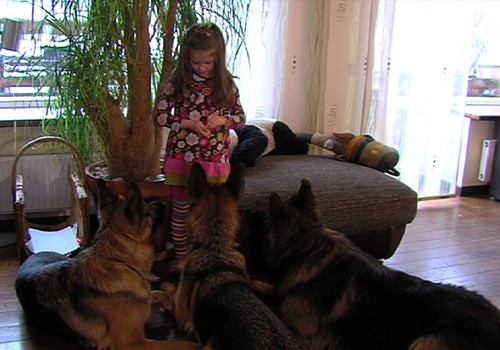 VIDEO: Šuniukas vaikui ar tėvams?