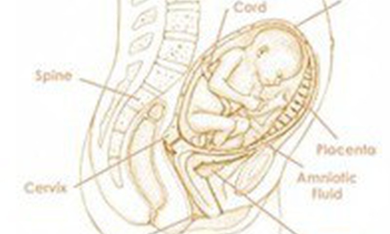 27 savaitė: Pasunkėti per nėštumą nėra blogai