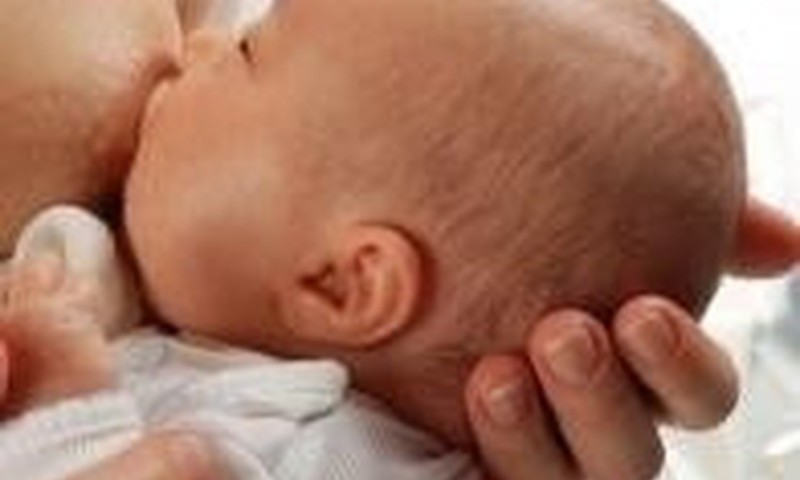 Ar reikia nusitraukti pieną pientraukiu, kad nemažėtų jo gamyba?