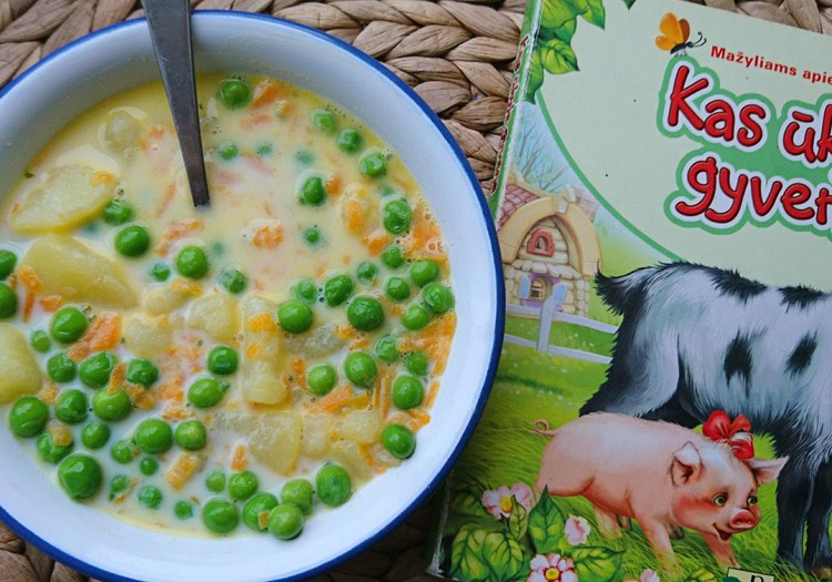 Vasaros ingredientai: šviežių daržovių ir pieno sriuba! 