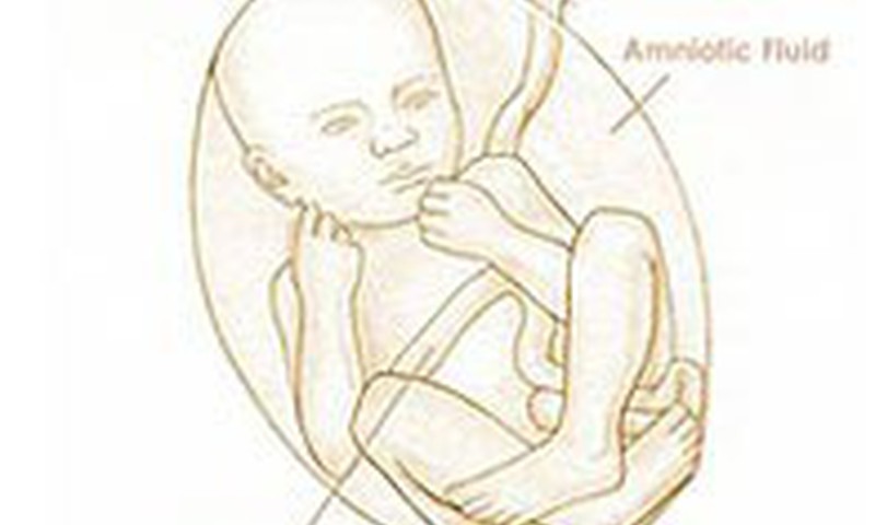 35 savaitė: atėjo nemigos metas