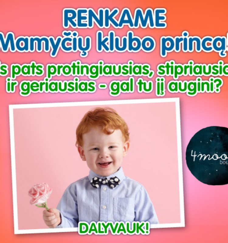 MK Princo rinkimai - III užduotis