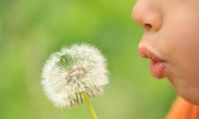 Alergijos – XXI a. epidemija: kaip homeopatija gali padėti?
