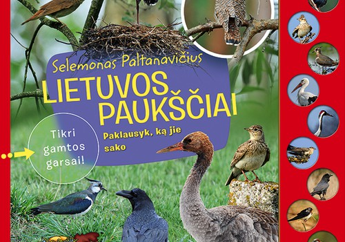 Laimėk knygą mažajam gamtos mylėtojui "Lietuvos paukščiai"