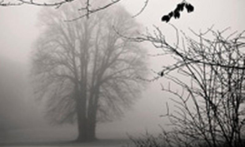 Ech, ta melancholija...