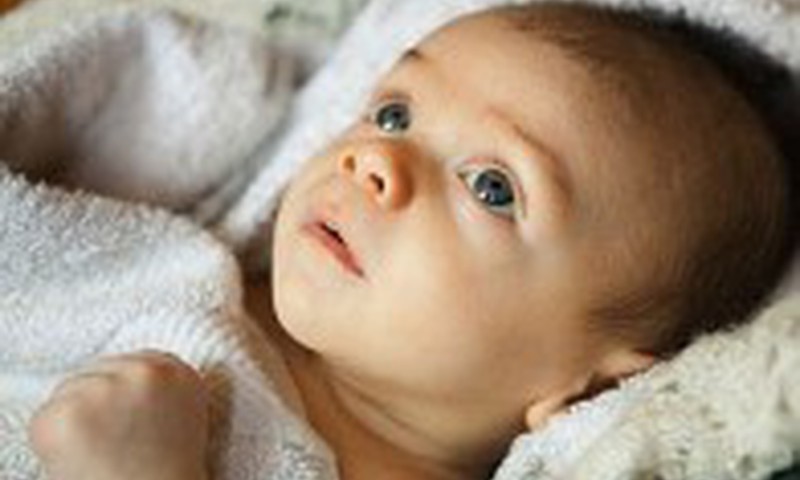 Galvos smegenų echoskopija