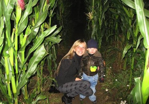 Klaidžiojimas po paslaptingą kukurūzų labirintą 