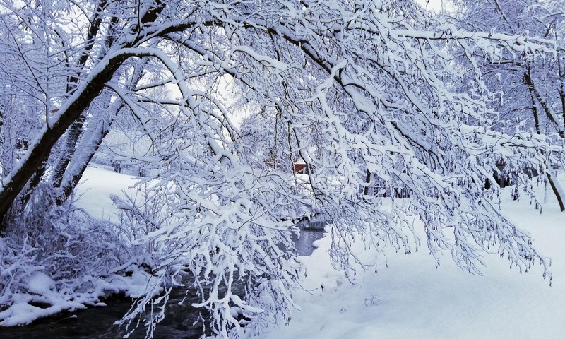 TOKIA MŪSŲ KASDIENYBĖ. Pasaulinė sniego diena