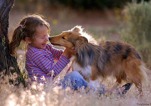 Išmokykite vaiką saugiai elgtis su gyvūnais