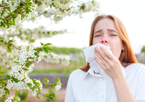 Beveik 60 proc. sergančiųjų sezoninę alergiją gydosi vaistais, neieškodami priežasčių