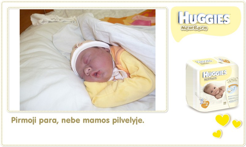 Rytis Vėjas Skardžius 2013-09-10