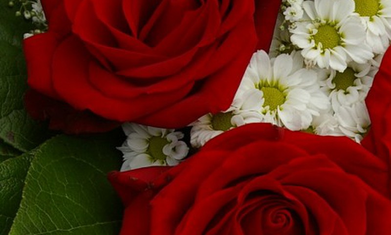 Gėlės - moters sielos poreikis?