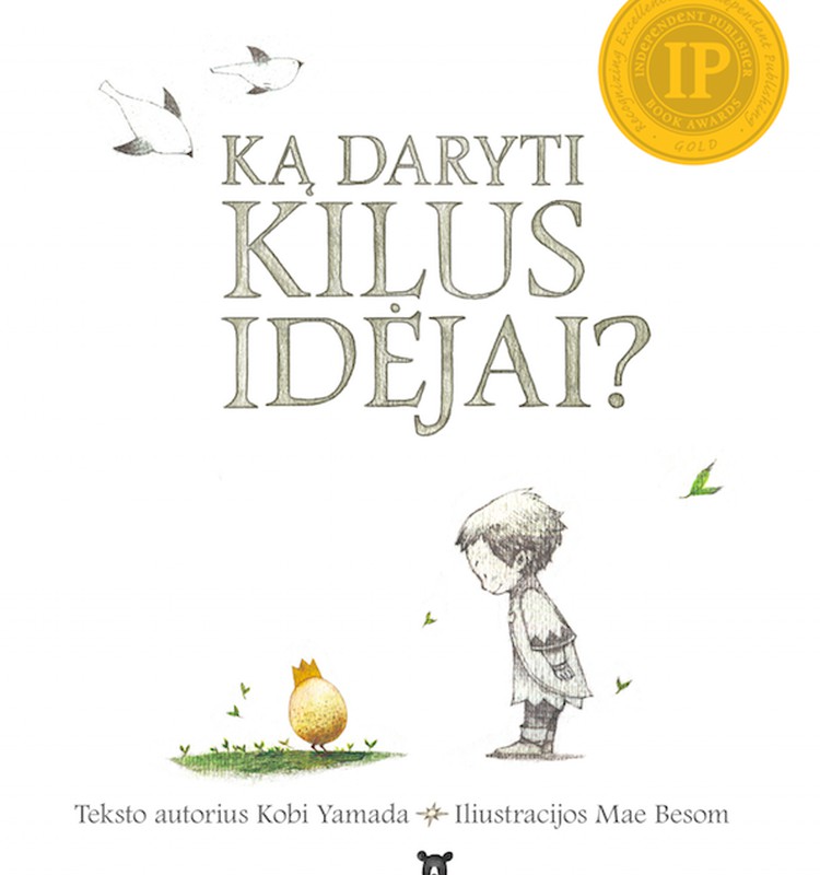 Nori knygos "Ką daryti kilus idėjai?" Dalyvauk komentarų konkurse!