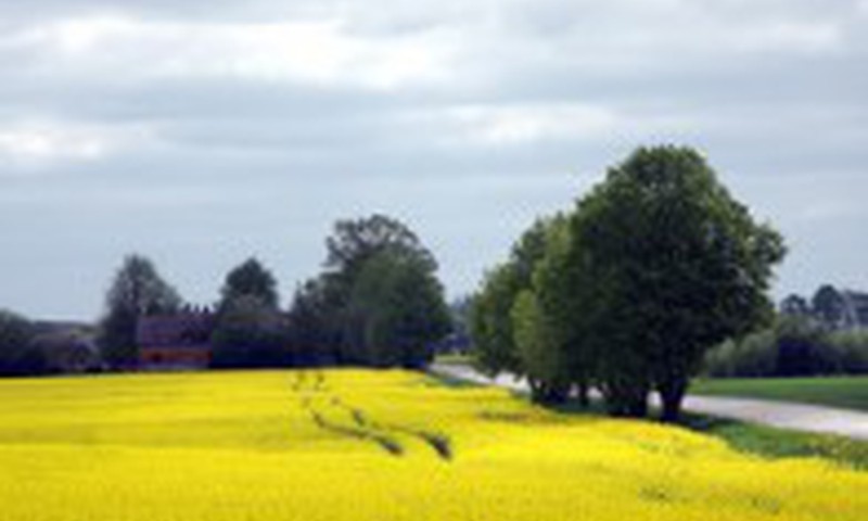 Šviesa – būtina geros savijautos sąlyga