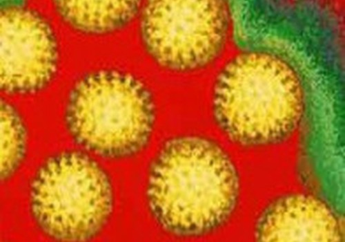 Mitai apie rotavirusą   