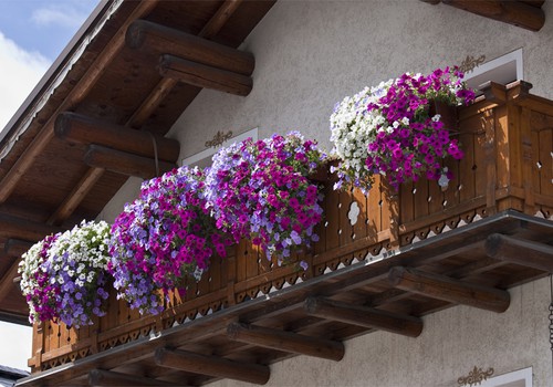 5 patarimai, kuriant gėlių kompozicijas balkone 