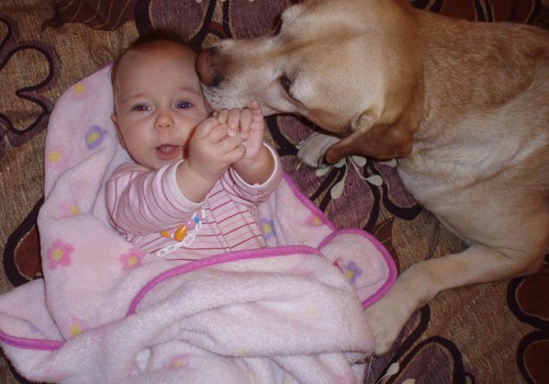  Mažylės ir šuniuko draugystė