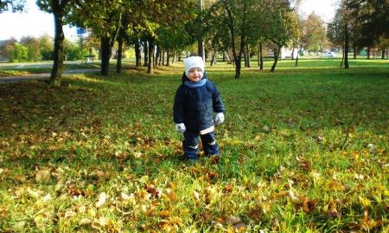 Smagu žaisti su lapais!