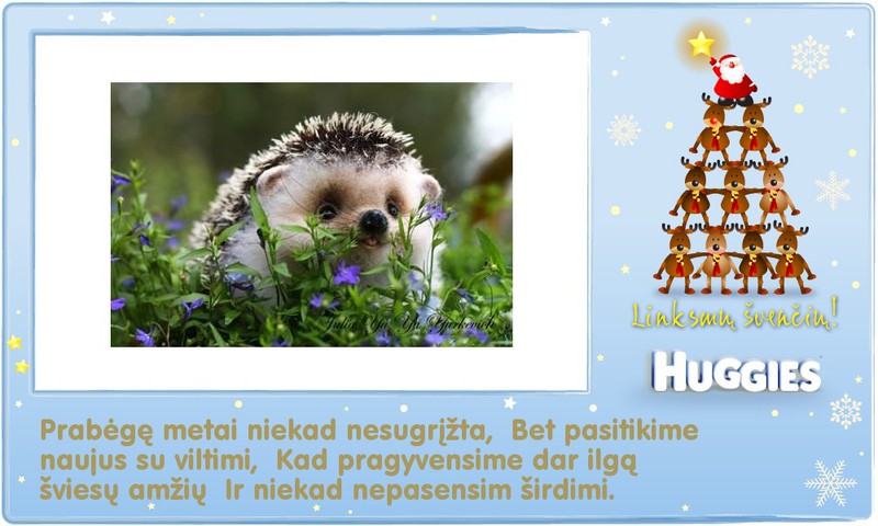 SU ŠVENTĖMIS !!!