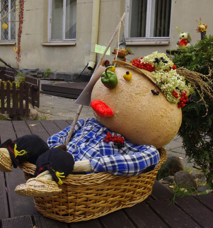 „Daržovių šėlsmas“ 26 – ojoje „Sodo kraitėje“ 