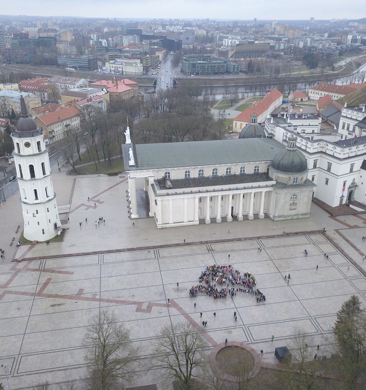 Unikali dovana Lietuvai – rekordu tapti pretenduojantis iš žmonių sudarytas Vytis