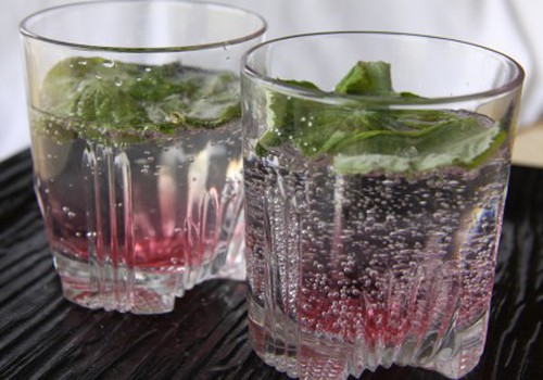 Svaiginantis Mojito