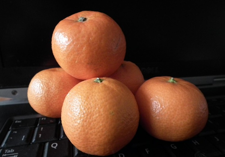 irmantaitės 8 dienos laimės akimirka: mandarinai