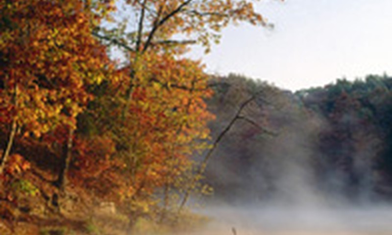 Sveikutės šį ūkanotą penktadienį!