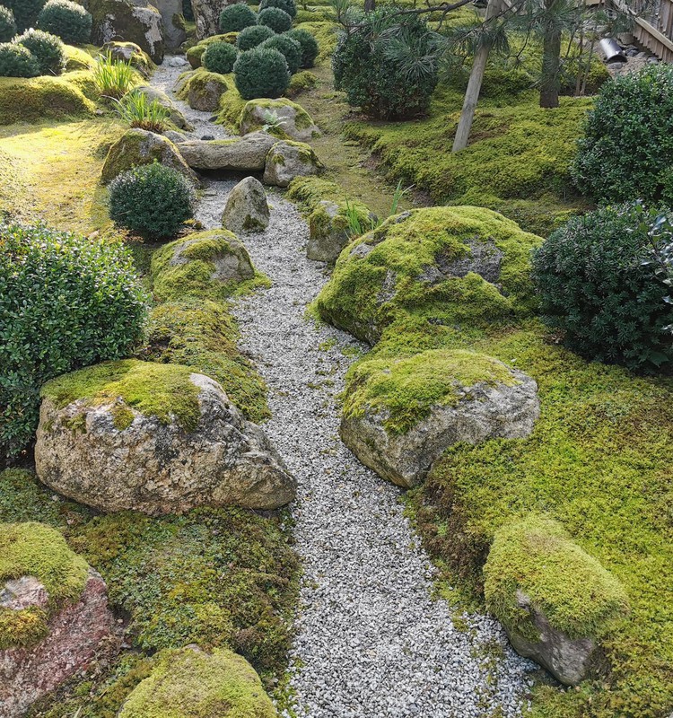 Japonų sodas