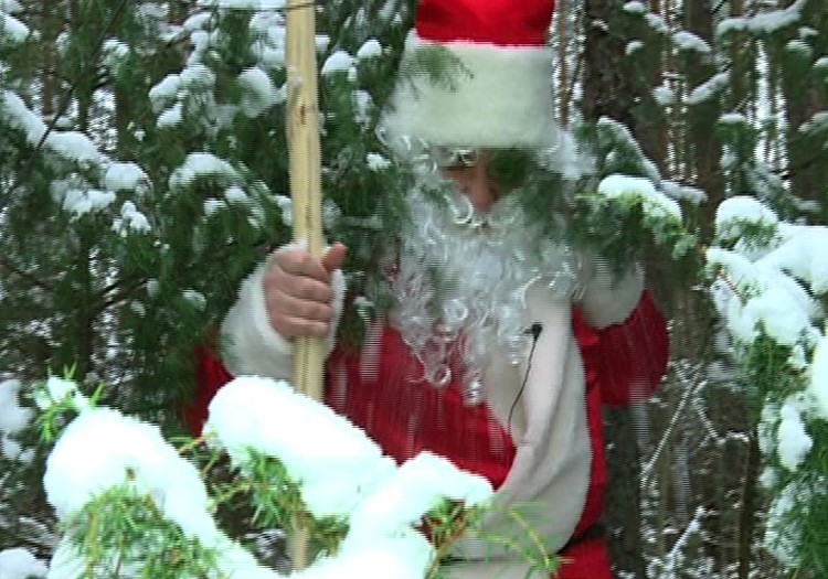 VIDEO: Kalėdinės linksmybės - ką įdomaus nuveikti
