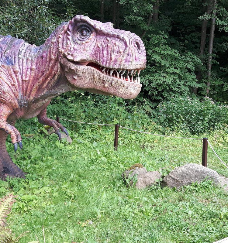Dino parkas Radailiuose 