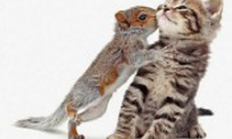 Šeštadienis - darbadienis