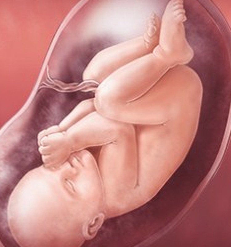 VIDEO Nėštumo kalendorius. 37 savaitė: Mėgaukitės nėštumo paskutinėmis savaitėmis