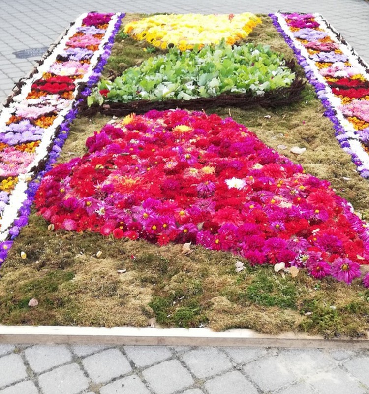 TOKIA MŪSŲ KASDIENYBĖ. Švėkšnos gėlių kilimai ir paminklas krepšiniui