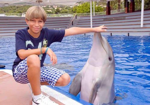 Į Maljorką su vaikais:  linksmybės su delfinais ir piratais