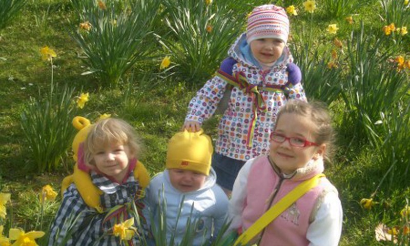 Su vaikučiais - narcizų jūroje